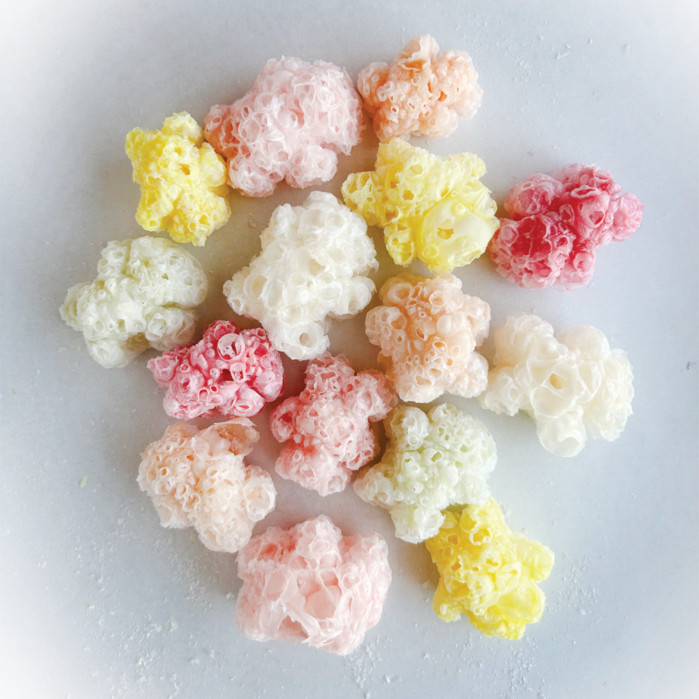 Freeze Dried Gummy Bears