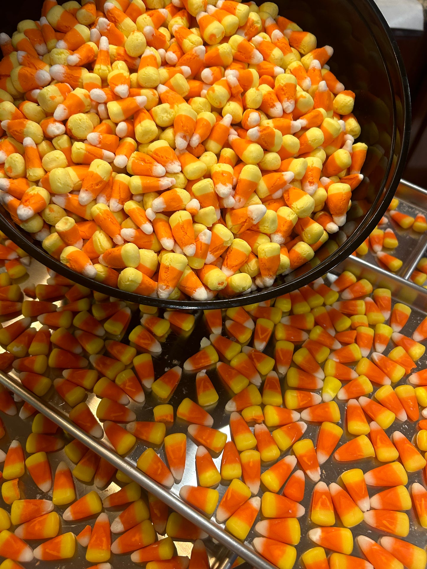 Freeze Dried Candy Corn